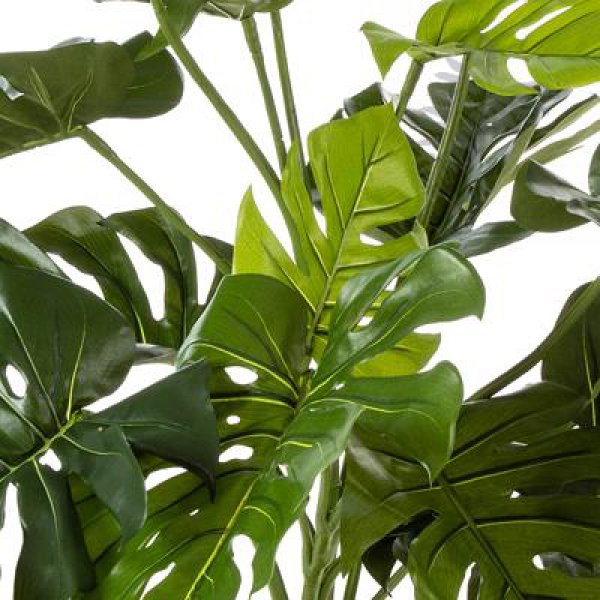 Split Philo 85cm 52003N