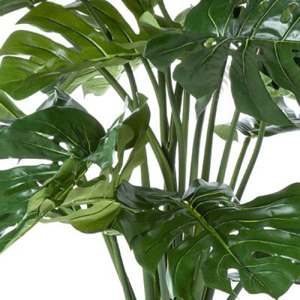 Split Philo Bush 98cm 52103N