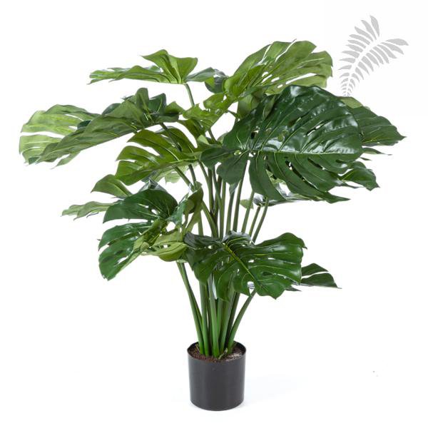 Split Philo Bush 98cm 52103N