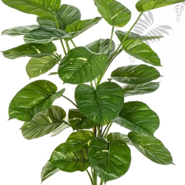 POTHOS PLANT GIANT LEAF 52904N