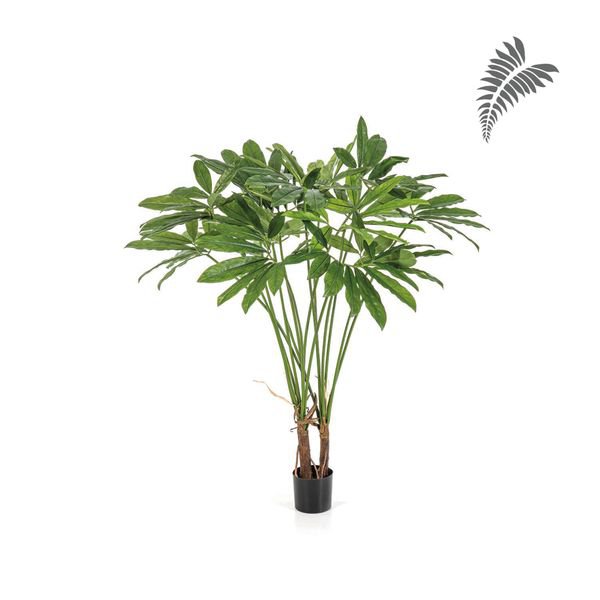 Philodendron Goeldii/Pot 110cm 53004N
