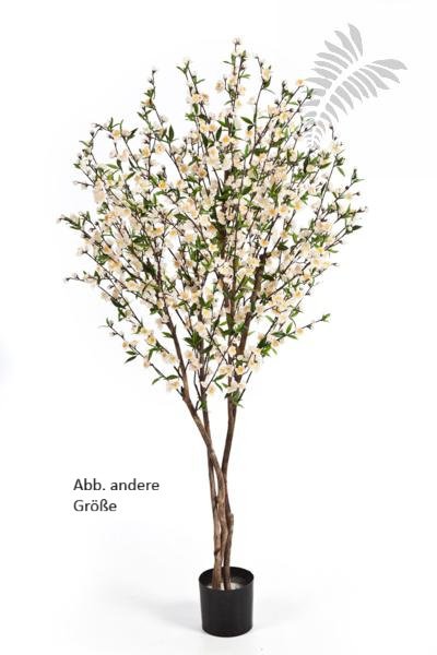 CHERRY BLOSSOM 140 CM CREAM 55205CR