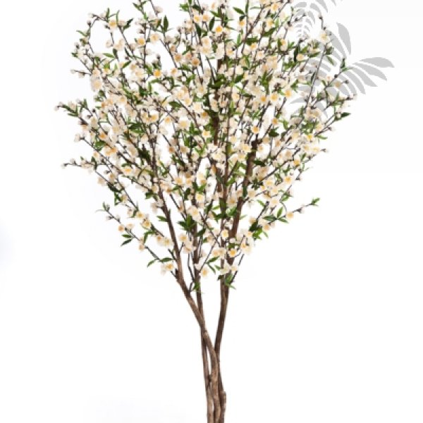 CHERRY BLOSSOM 170 CM CREAM 55206CR
