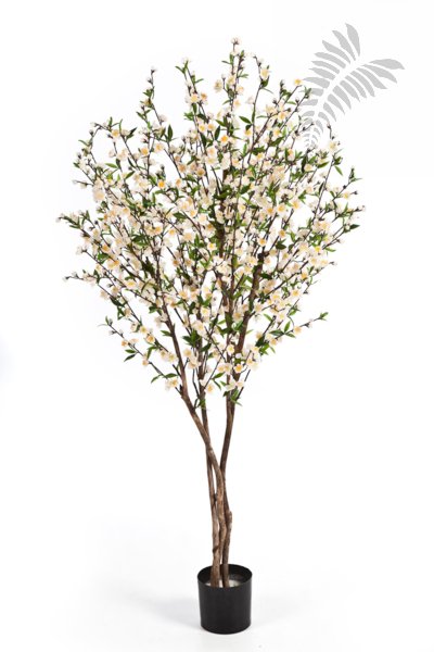CHERRY BLOSSOM 170 CM CREAM 55206CR
