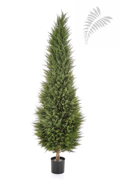 CYPRESS TOWER TREE 56106N