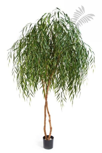 WILLOW TREE 56208N