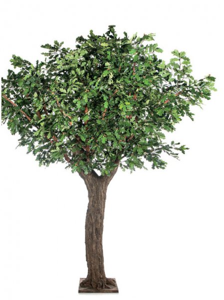 FR 12' GIANT COMMON OAK TREE 58012FR