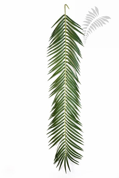 PHOENIX PALM SPRAY 126 CM 5920L