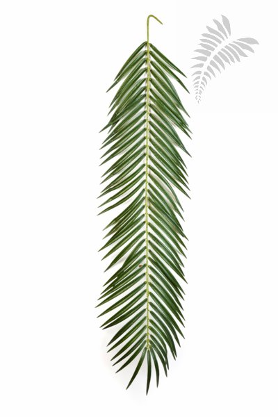 PHOENIX PALM SPRAY 107 CM 5920M