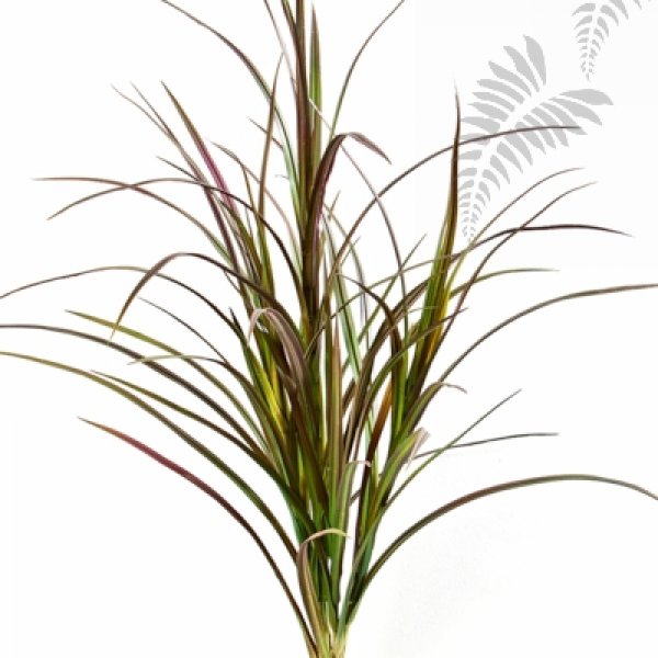 NATURAL RED GRASS BUNCH 80 CM 5928R