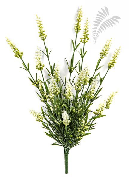 LAVENDER BUSH X 19 - CREAM 5935CR