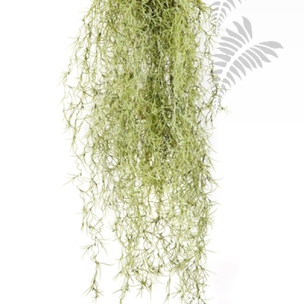 FR LONG HAIR BUSH 80 GRAY 5940GR-FR