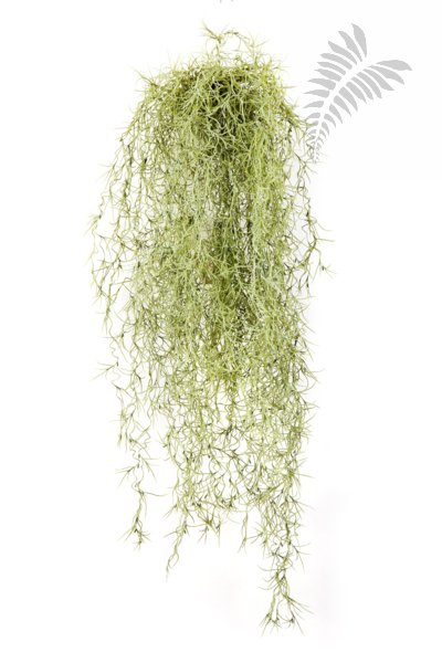 FR LONG HAIR BUSH 80 GRAY 5940GR-FR