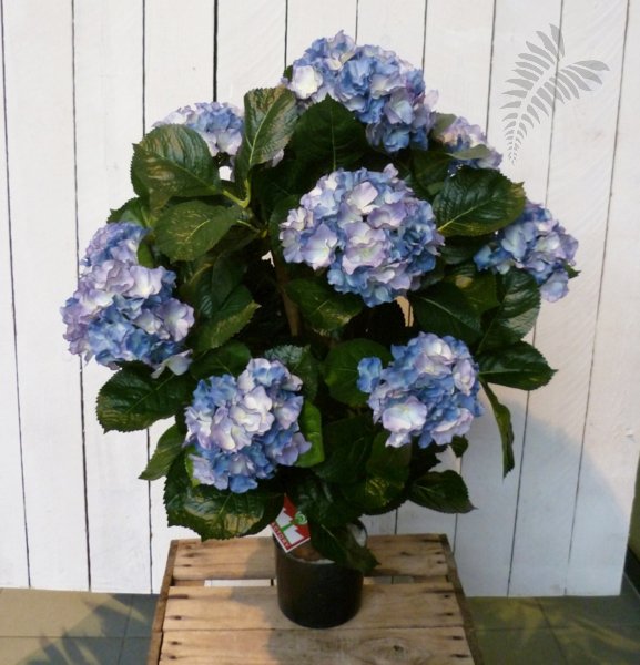 HYDRANGEA BALL DE LUXE 6250BL
