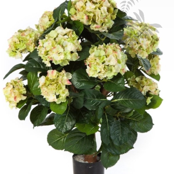 HYDRANGEA BALL DE LUXE 6250GR/CR