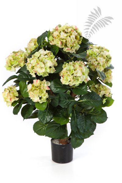 HYDRANGEA BALL DE LUXE 6250GR/CR