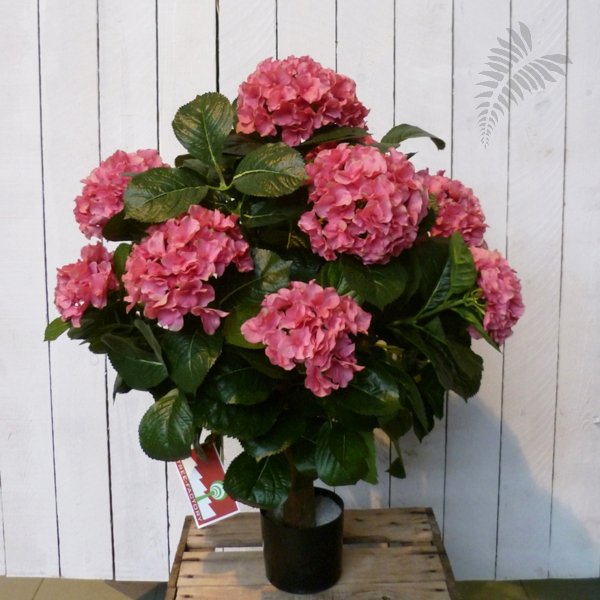HYDRANGEA BALL DE LUXE 6250RS