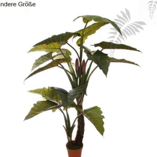 F1002-220-91 Alocasia Tree L, Green Various  H220