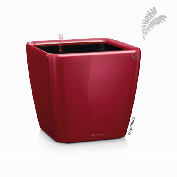Quadro QU 50 scarlet rot LS-SET -A- 16287