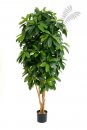 Kunstpflanze Lady Schefflera Tree 170cm/h
38406N