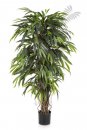 Kunstpflanze Deluxe Longifolia Liana 150cm/h
48205N